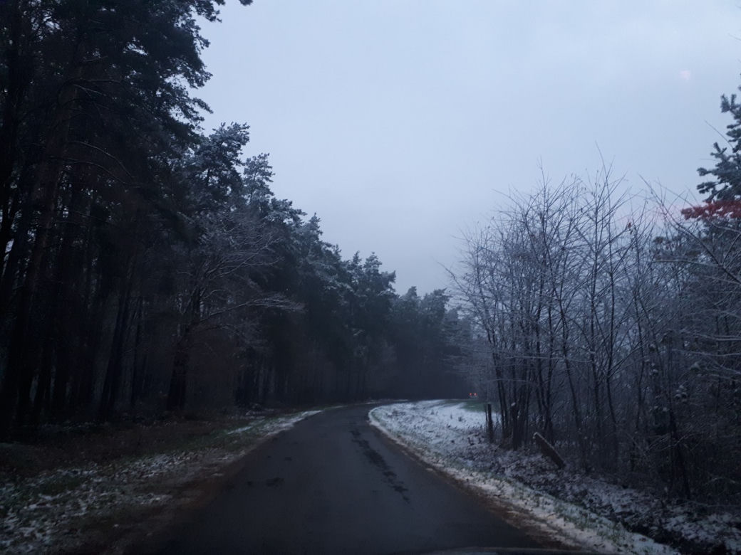 Piękna zima na Podkarpaciu. Sypnęło śniegiem [ZDJĘCIA]