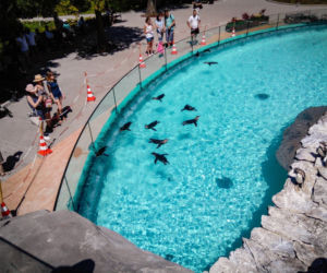 Najlepsze ogrody zoologiczne w Polsce [ZDJĘCIA]