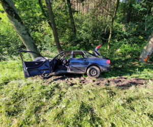 Kamieńczyk. Trzech ciężko rannych mężczyzn! Ich audi roztrzaskało się o drzewo na DK nr 62 [ZDJĘCIA]