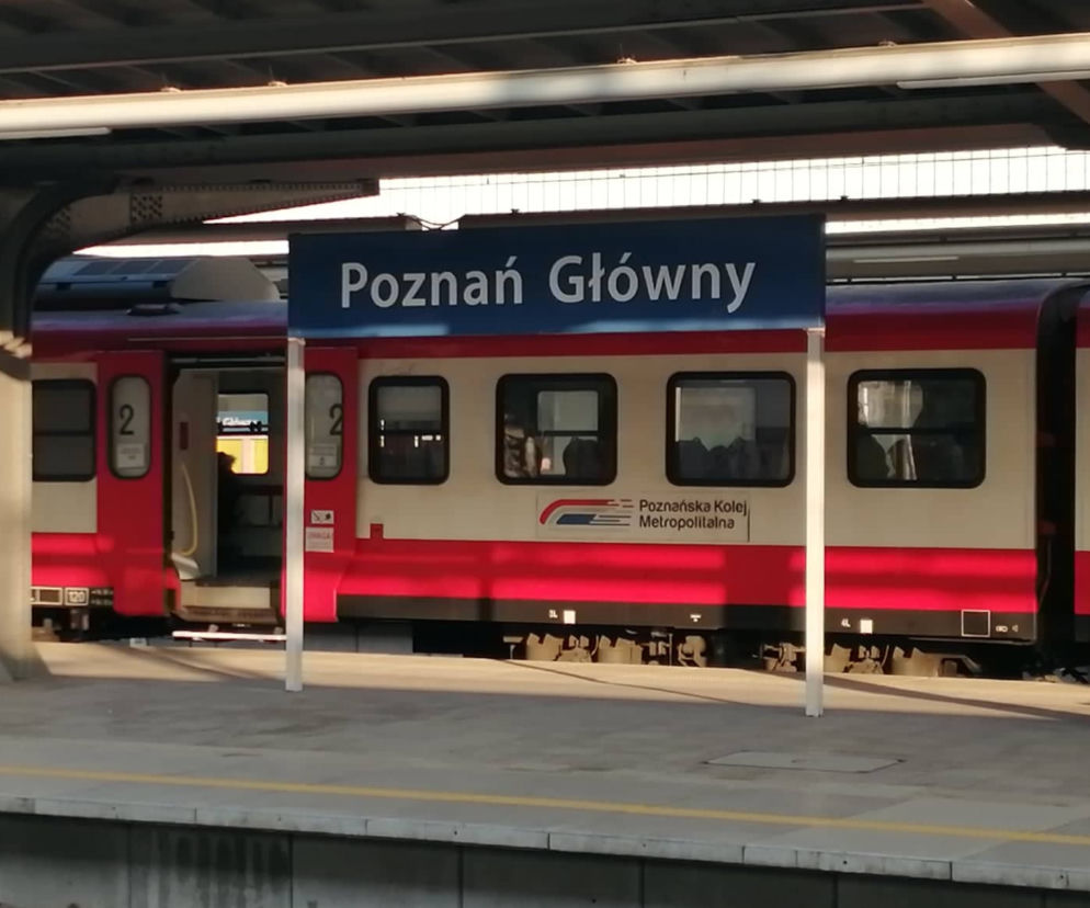 Poznań: Drzwi pociągu przytrzasnęły pasażera! Wstrząsające nagranie [WIDEO] 