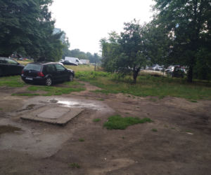 Wzdłuż parkingu Centrum Handlowego Arena wyrosną drzewa
