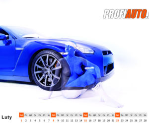 Kalendarz 2015 od ProfiAuto