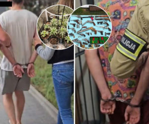 Intensywny zapach zdradził rodzinę. Bracia mieli nielegalną plantację, a ojciec pokaźny arsenał broni!