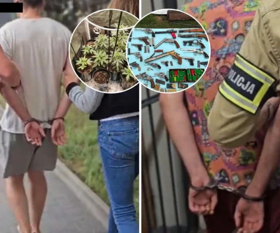 Intensywny zapach zdradził rodzinę. Bracia mieli nielegalną plantację