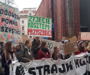 Wielki protest w Krakowie. Strajkowali w obronie klimatu 