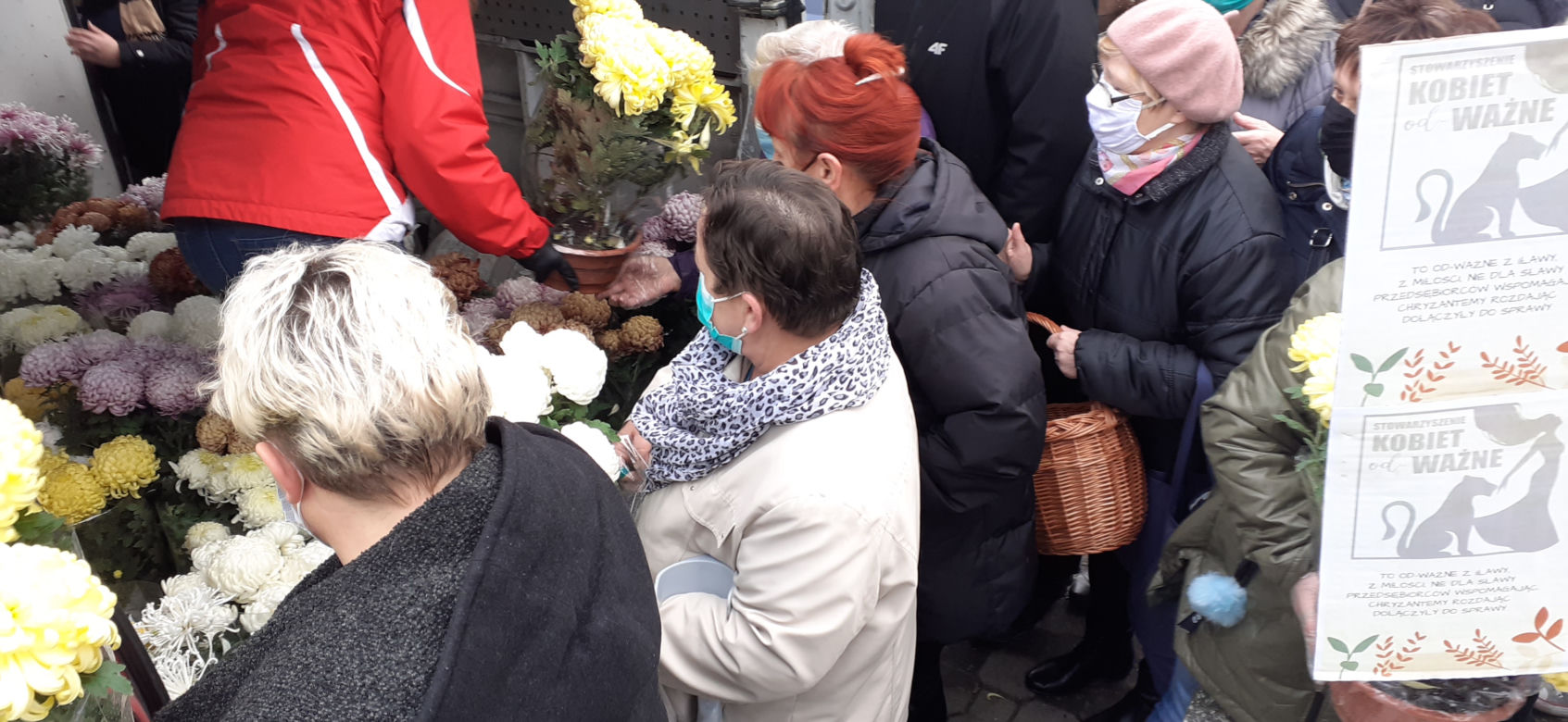 Od-Ważne kobiety rozdawały chryzantemy w Iławie