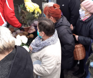 Od-Ważne kobiety rozdawały chryzantemy w Iławie