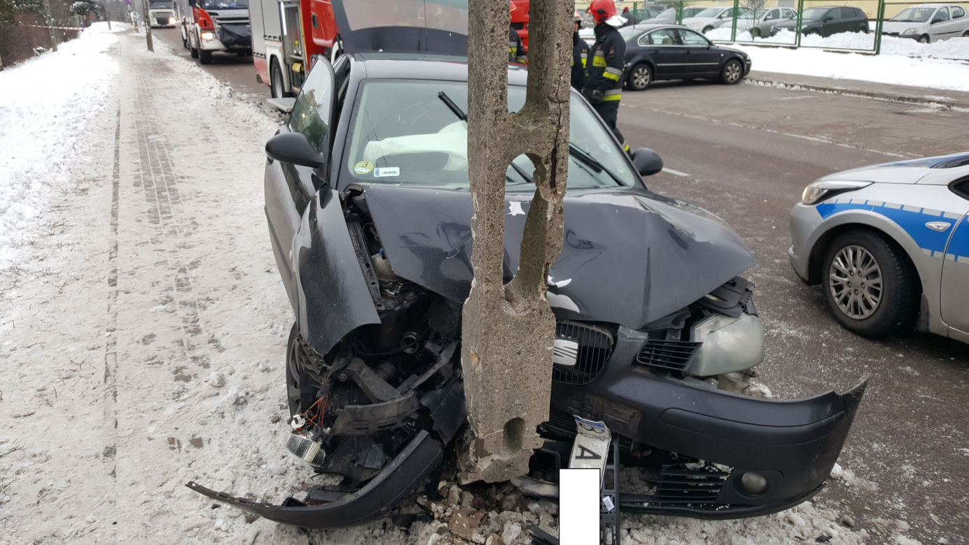 Białystok. Wypadek na Wiewiórczej. Seat uderzył w słup