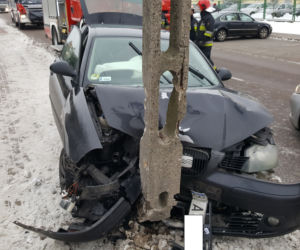 Białystok. Wypadek na Wiewiórczej. Seat uderzył w słup