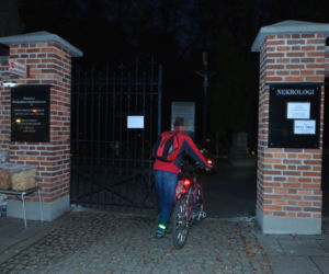 Cmentarze 1 listopada zamknięte dla niezaszczepionych. Kontrowersyjna rada eksperta. Rząd już podjął decyzję!