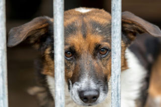 Azyl w Kuflewie zmieni lokalizację? Gmina podała termin likwidacji 