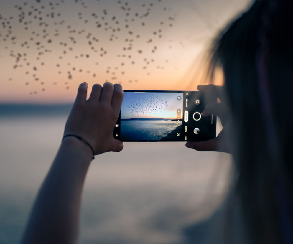 Osoba fotografująca zachód słońca nad wodą i stado ptaków smartfonem OPPO z systemem ColorOS 13. Na wyświetlaczu widać podgląd ujęcia i interfejs aparatu. Więcej o nowościach w technologii OPPO przeczytasz na Super Biznes.