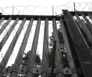 Karolina Pajączkowska na granicy polsko-białoruskiej