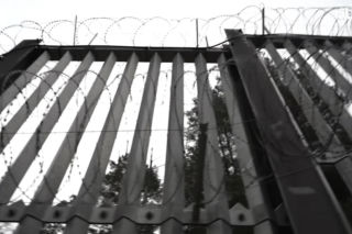 Karolina Pajączkowska na granicy polsko-białoruskiej