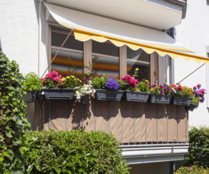 Jak wybrać markizę na balkon w bloku? Najważniejsze zasady i formalności
