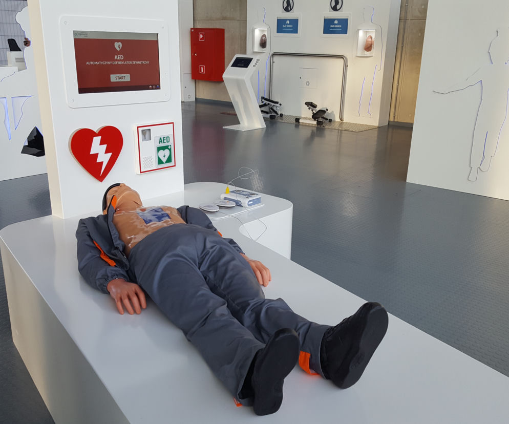 Wystawa Kierunek Zdrowie Centrum Nauki Experyment