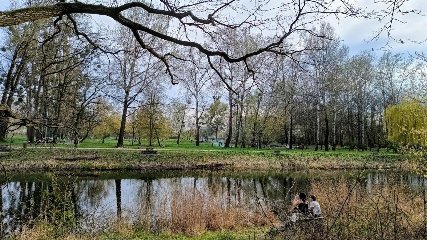 Rybaki, Toruń