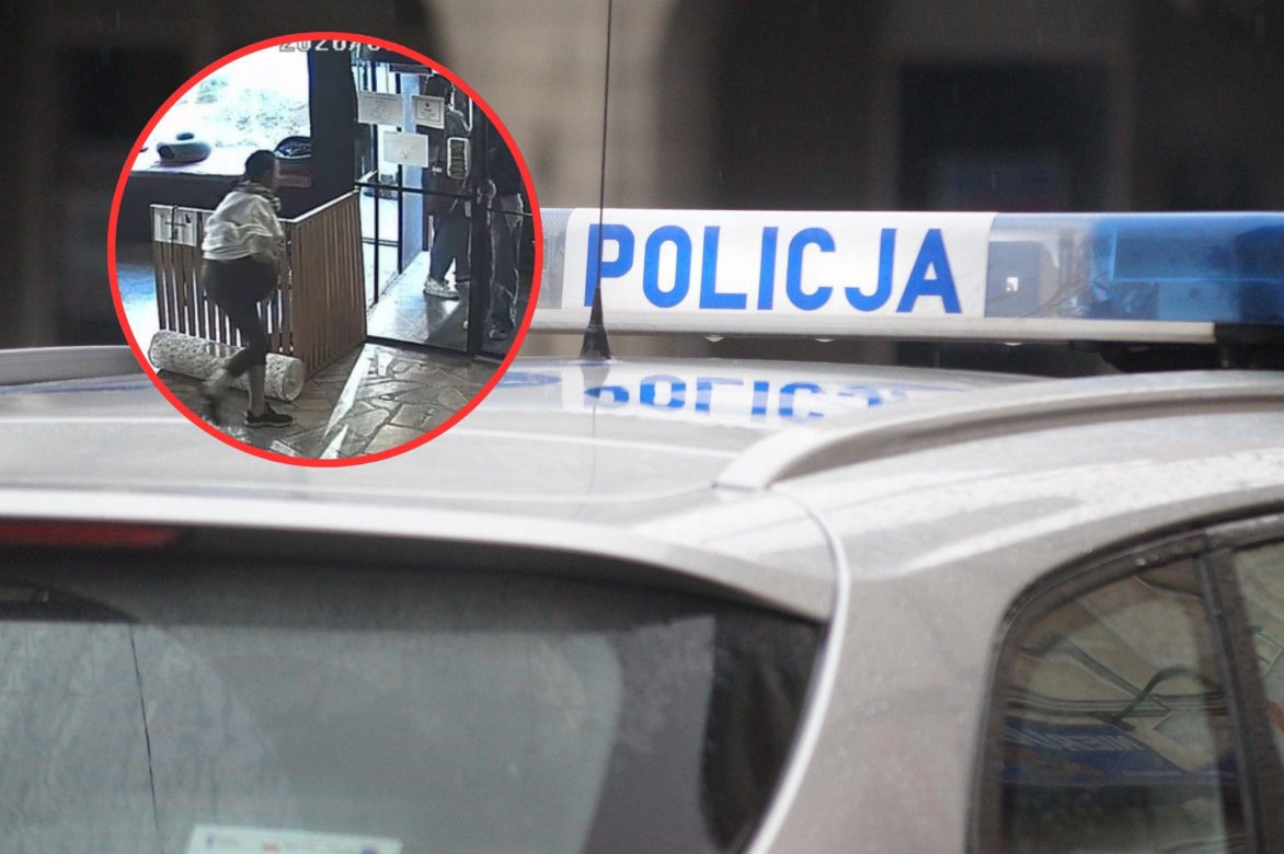Próbowała wynieść kota z lokalu w Toruniu