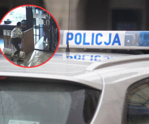Próbowała wynieść kota z toruńskiego lokalu. Jest nagranie!