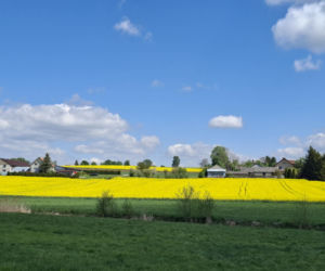 Mirogonowice. Świętokrzyskie