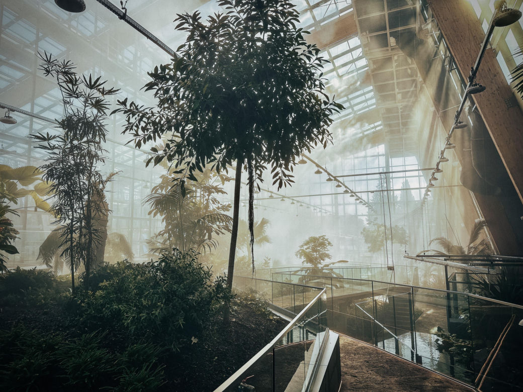 Nowe Egzotarium w Sosnowcu