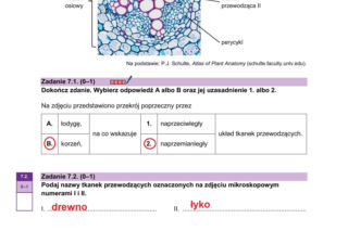 Matura 2026: biologia 8.05.2026. Gotowe odpowiedzi i ARKUSZE CKE z biologii 2026. Zobacz, czy zdałeś! [NOWA I STARA FORMUŁA]