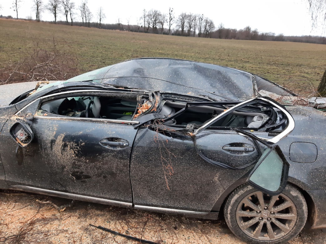 O włos od tragedii! Wielkie drzewo spadło na samochód. Kobieta przeżyła, bo zrobiła coś niesamowitego [FOTO]
