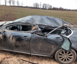 O włos od tragedii! Wielkie drzewo spadło na samochód. Kobieta przeżyła, bo zrobiła coś niesamowitego [FOTO]