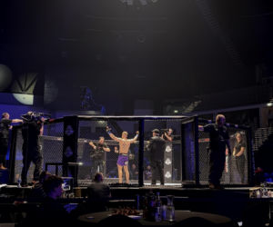 King's Arena2. Klatka i Lwy