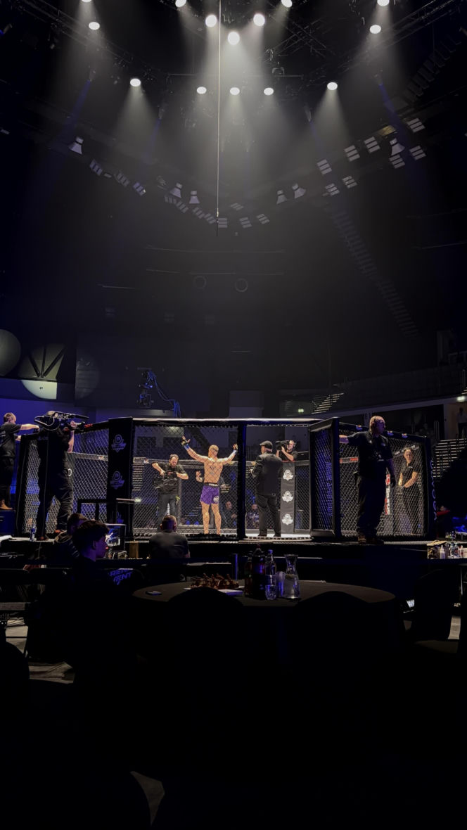 King's Arena2. Klatka i Lwy