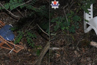 Matka jechała z dziećmi na rowerze. Chwilę później doszło do dramatu, sąd podjął decyzję