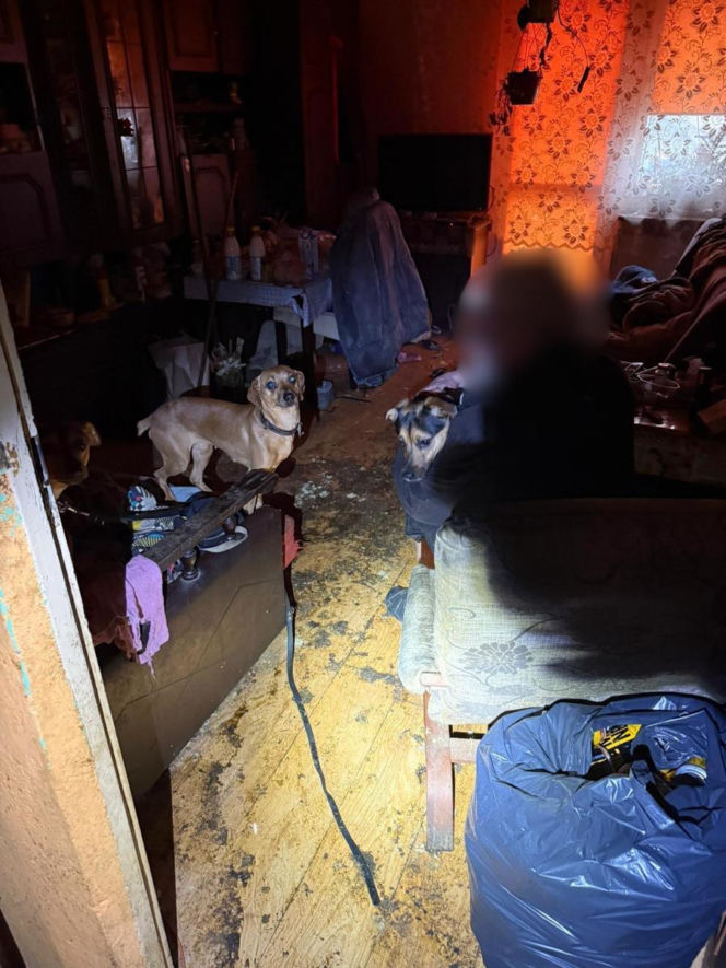 Psy żyły w koszmarnych warunkach