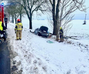 Policjanci uratowali kota z wypadku