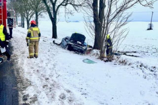 Policjanci uratowali kota z wypadku