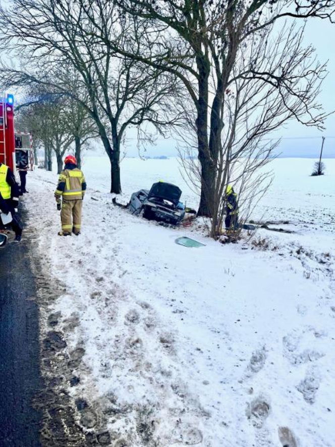 Policjanci uratowali kota z wypadku