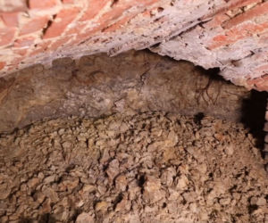Tajemniczy tunel na Ursynowie. Badają tajemnice „grobów masońskich”