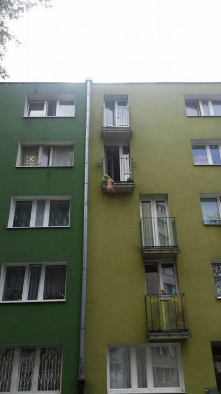 Pies uwięziony w barierce balkonu