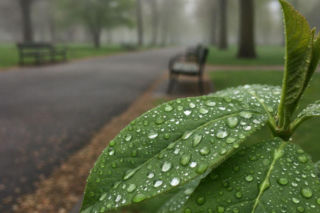 Weekend w Bydgoszczy z wielką zmianą pogody. Jeden dzień wyraźnie się wyróżni