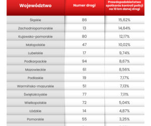 Wszystkich Świętych 2020. Gdzie możesz spodziewać się mandatu? Drogi krajowe i wojewódzkie