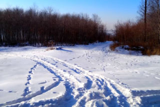 Wspólne patrole pod Tarnowem: 500 zł mandatu za wjazd do lasu 