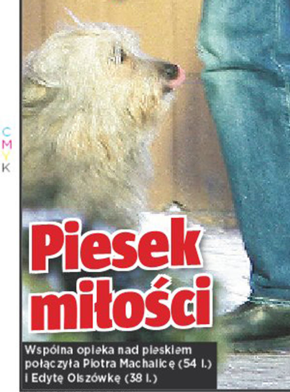 Ich miłość scementował pies!