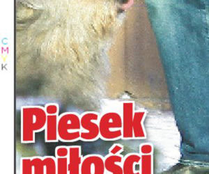 Ich miłość scementował pies!