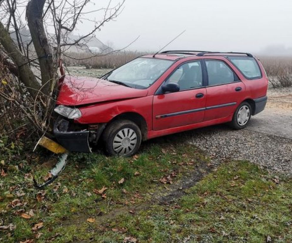 Niezabitów: 15-latek ROZTRZASKAŁ się o drzewo. Był NIETRZEŹWY! Mógł się ZABIĆ
