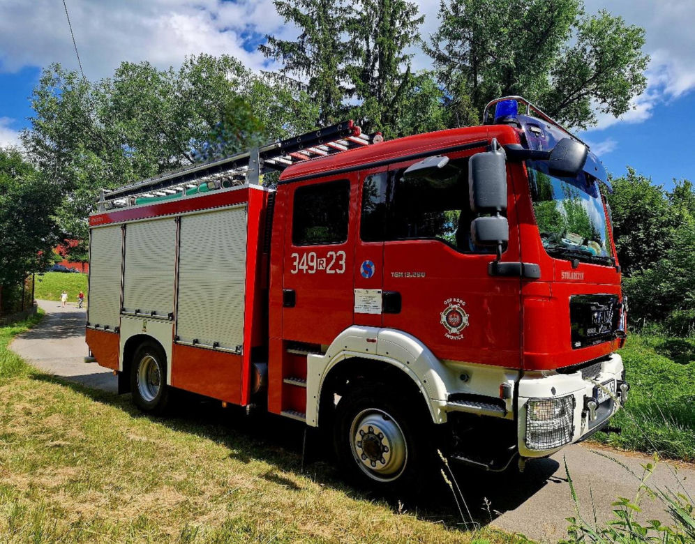 Druhowie z Iwonicza uratowali sarenkę. 