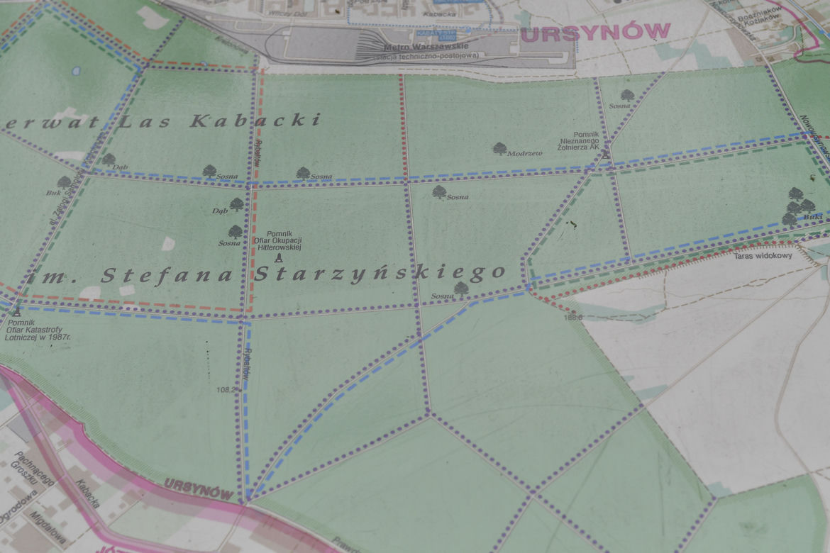Las Kabacki to gigantyczny obszar krajobrazu chronionego