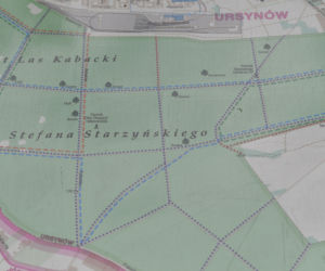 Śmierć Karoliny z Gocławia. Fascynowała ją „Sala samobójców”. 23-latka zaplanowała jak umrze