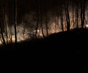 Pożar objął powierzchnię około 11 hektarów nieużytków