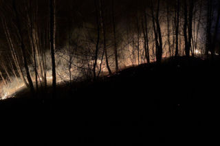 Pożar objął powierzchnię około 11 hektarów nieużytków