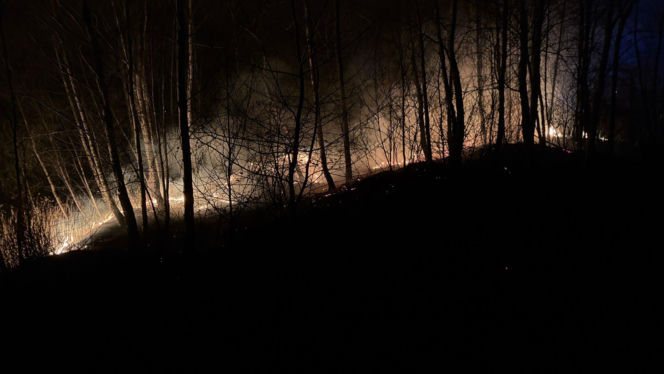 Pożar objął powierzchnię około 11 hektarów nieużytków