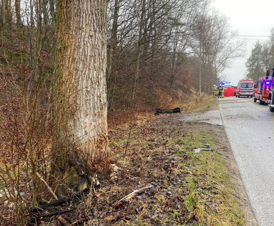 Borucino. Dwie osoby zginęły w śmiertelnym wypadku pod Kartuzami [ZDJĘCIA]
